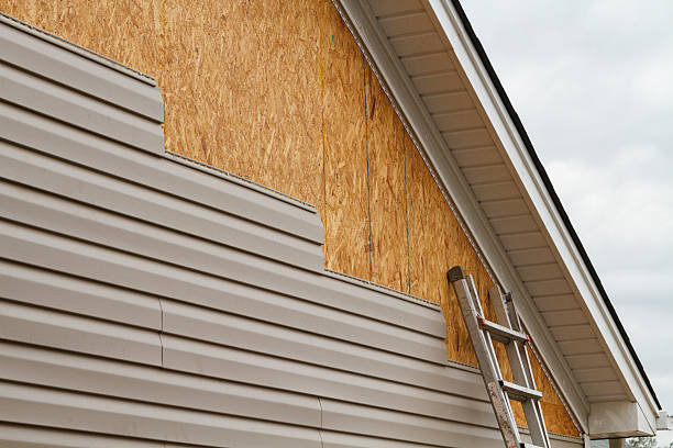 Best Custom Trim and Detailing for Siding  in White Horse, NJ